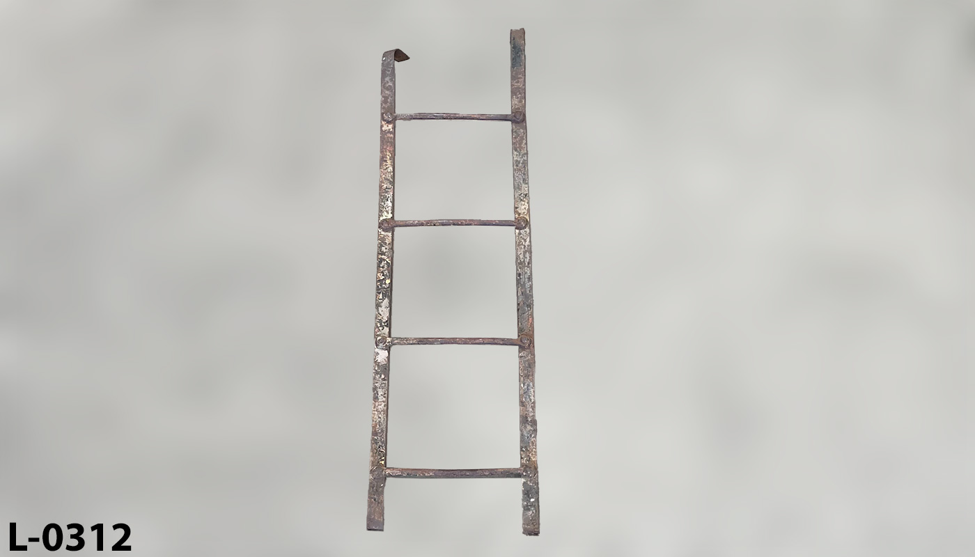 l_0312 Rooftop Access Ladder