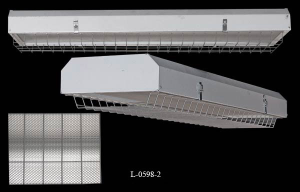 L-0598-2 4' Fluorescent