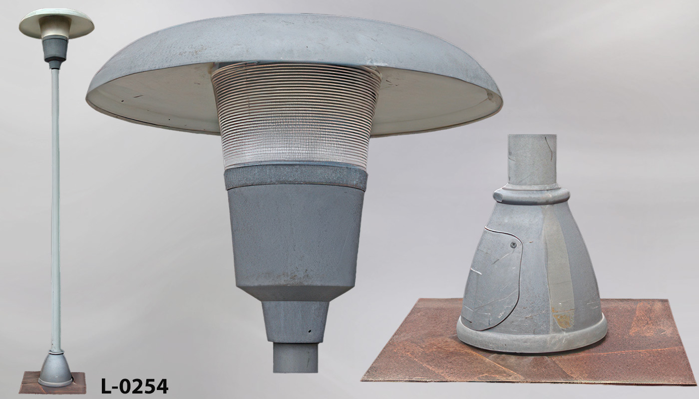 L-0254 Mushroom Cap