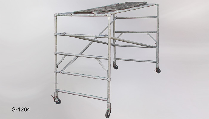 s_1264 Scaffold