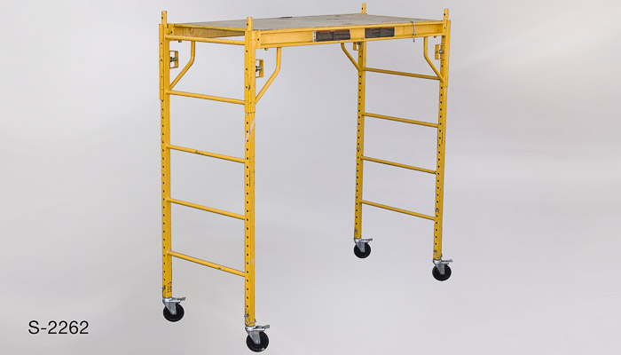 s_2262 Scaffold