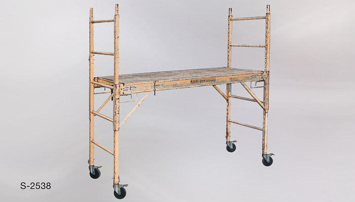 s_2538 Scaffold